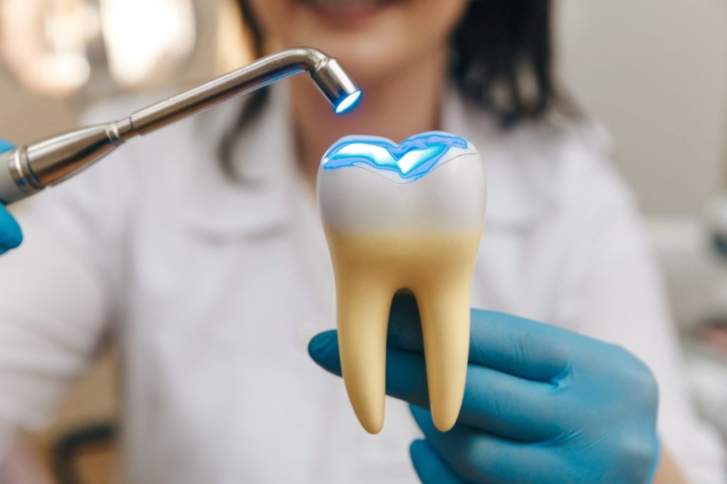 Closeup of dentist filling a fake tooth